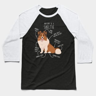 Sheltie Shetland Sheepdog Anatomy Baseball T-Shirt